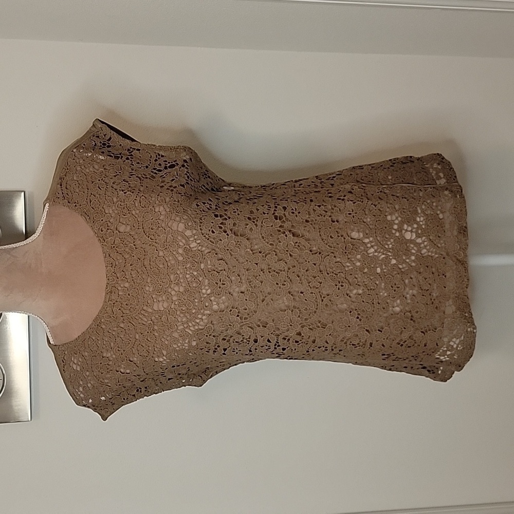 The Limited, Medium Brown Lace Tee.  Size M, New with Tags!